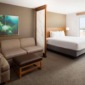 King Room Sofa Bed
