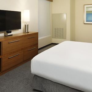 One-Bedroom King Suite Sofa Bed